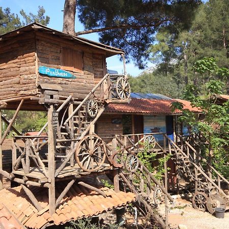 Kadir'S Top Tree Houses Olympos Zewnętrze zdjęcie