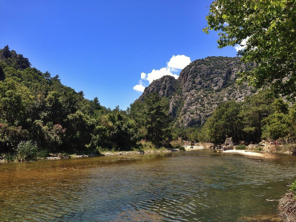 Kadir'S Top Tree Houses Olympos Zewnętrze zdjęcie