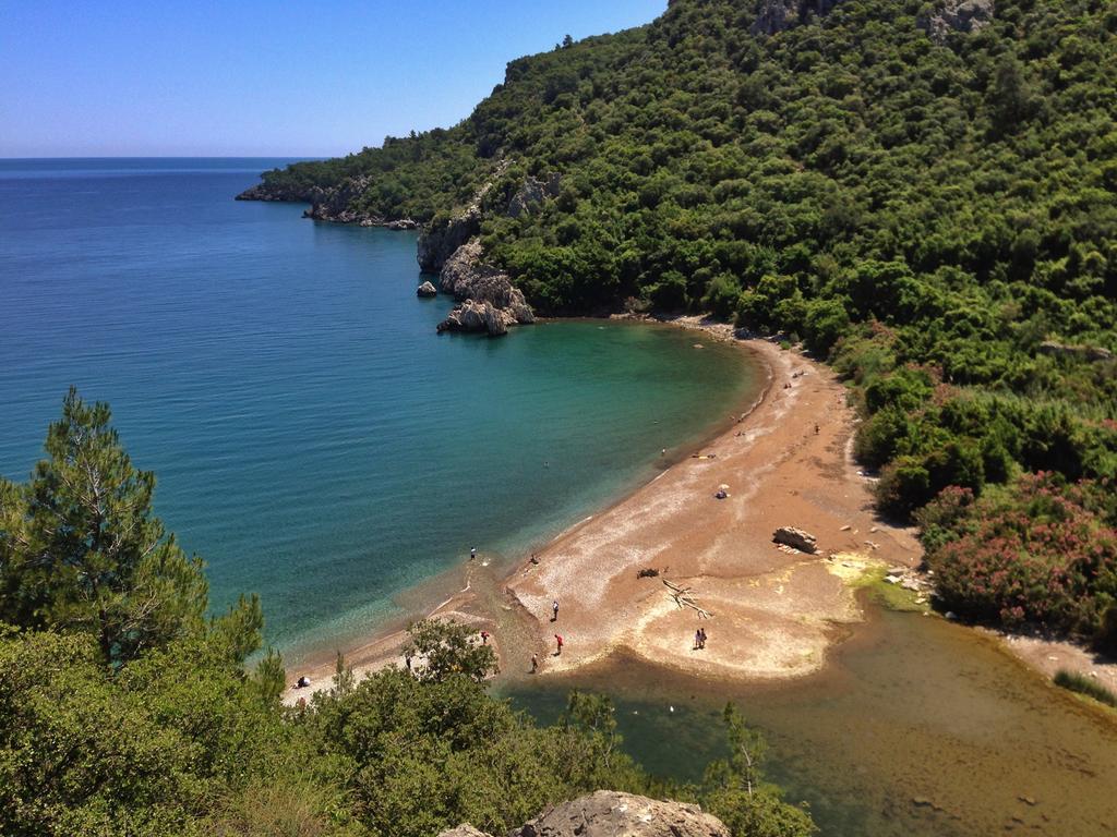 Kadir'S Top Tree Houses Olympos Zewnętrze zdjęcie