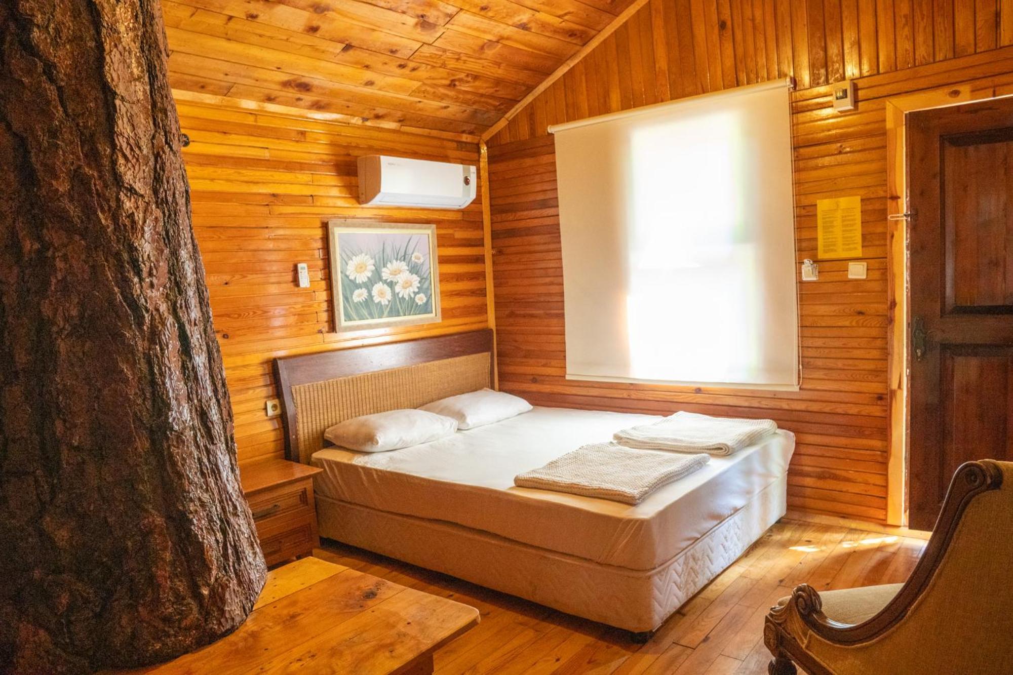 Kadir'S Top Tree Houses Olympos Zewnętrze zdjęcie