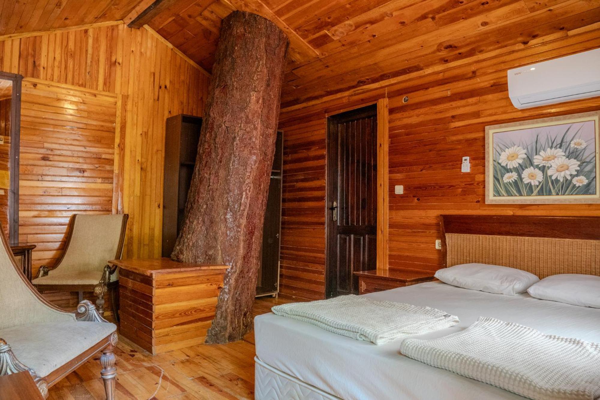 Kadir'S Top Tree Houses Olympos Zewnętrze zdjęcie