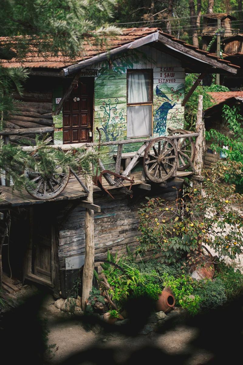 Kadir'S Top Tree Houses Olympos Zewnętrze zdjęcie