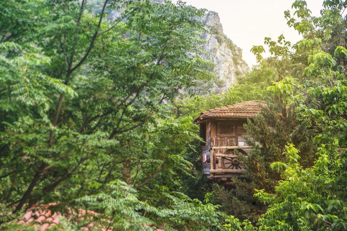 Kadir'S Top Tree Houses Olympos Zewnętrze zdjęcie