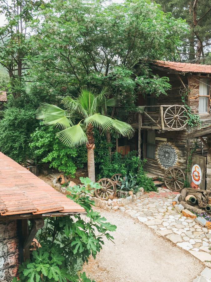 Kadir'S Top Tree Houses Olympos Zewnętrze zdjęcie