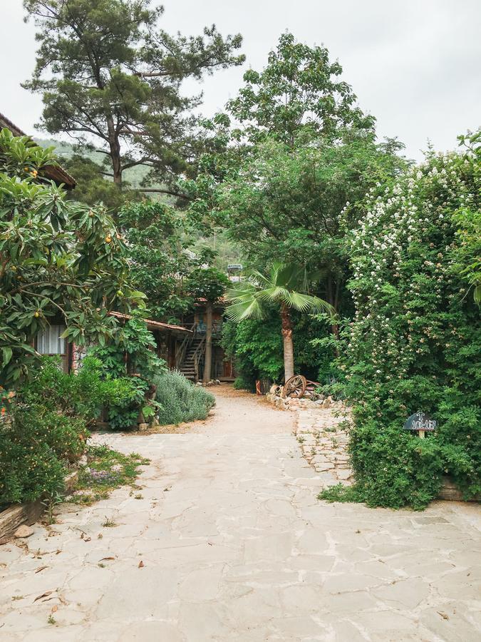 Kadir'S Top Tree Houses Olympos Zewnętrze zdjęcie