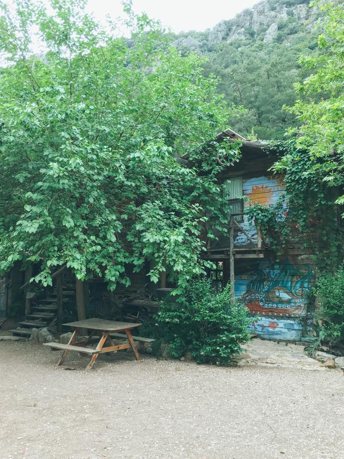 Kadir'S Top Tree Houses Olympos Zewnętrze zdjęcie